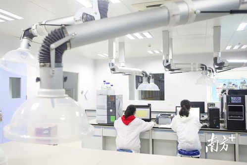 深圳首季高新技术企业培育资助突破20.5亿元，通讯工程技术研发与服务成重点扶持方向