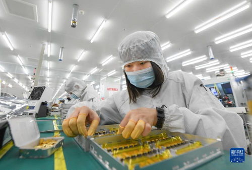 靠谱服务驱动技术创新，标准引领未来——一家光通信企业的出海秘籍